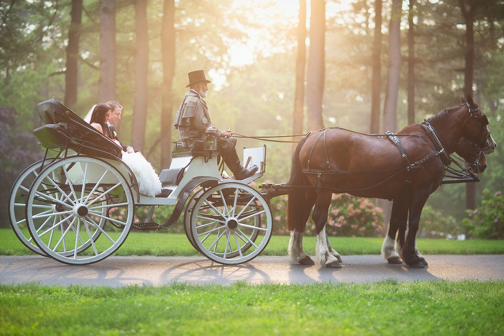 Bride and groom in a horse drawn carriage